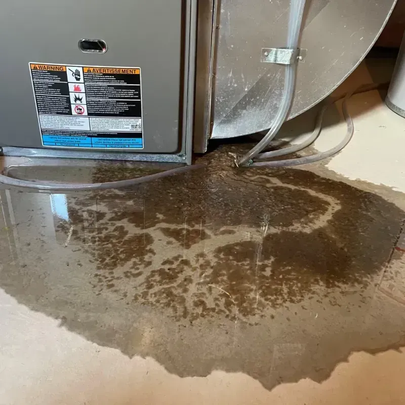 Appliance Leak Cleanup in Green Level, NC